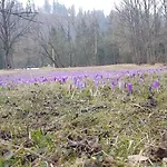 Kwatera prywatna Dom Na Skraju Lasu
