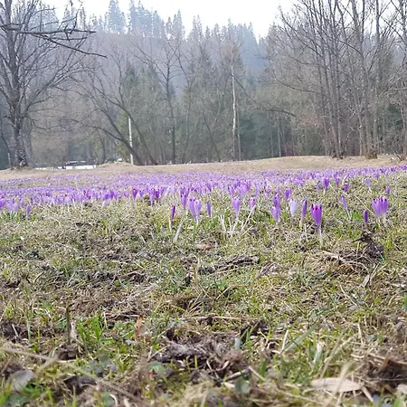 Δωμάτια σε οικογενειακή κατοικία Dom Na Skraju Lasu
