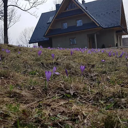 Dom Na Skraju Lasu Jurgów